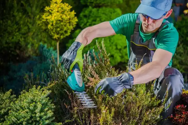 landscaping services Fair Play